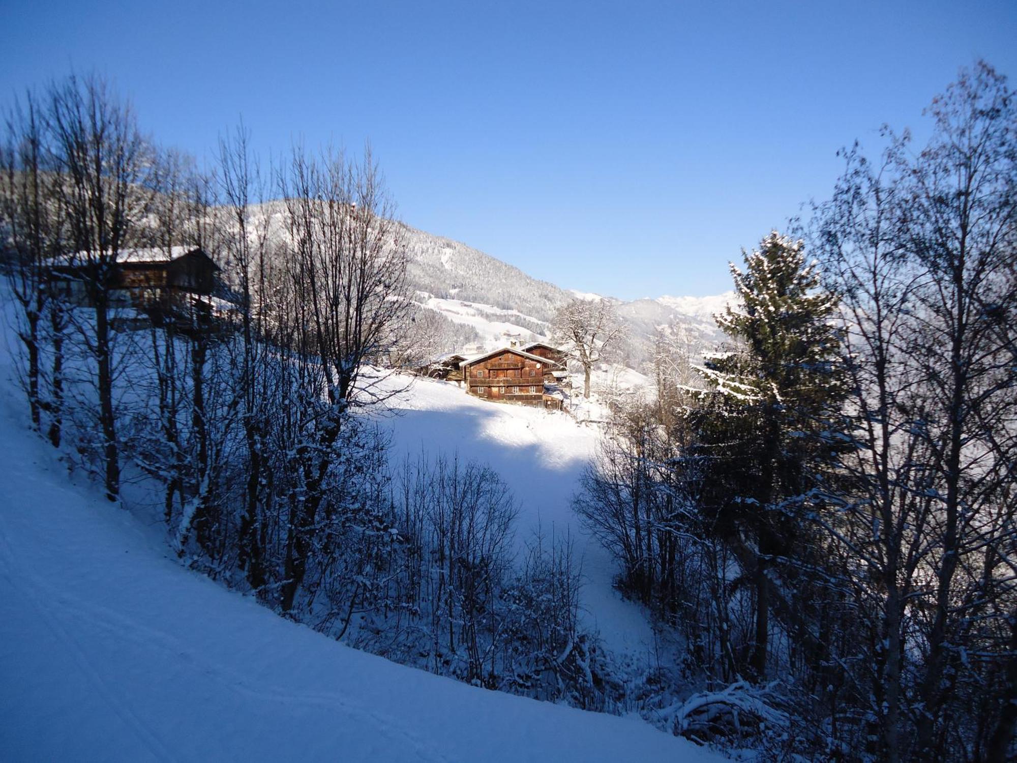 Apart Bianca Zillertal Kaltenbach Kültér fotó